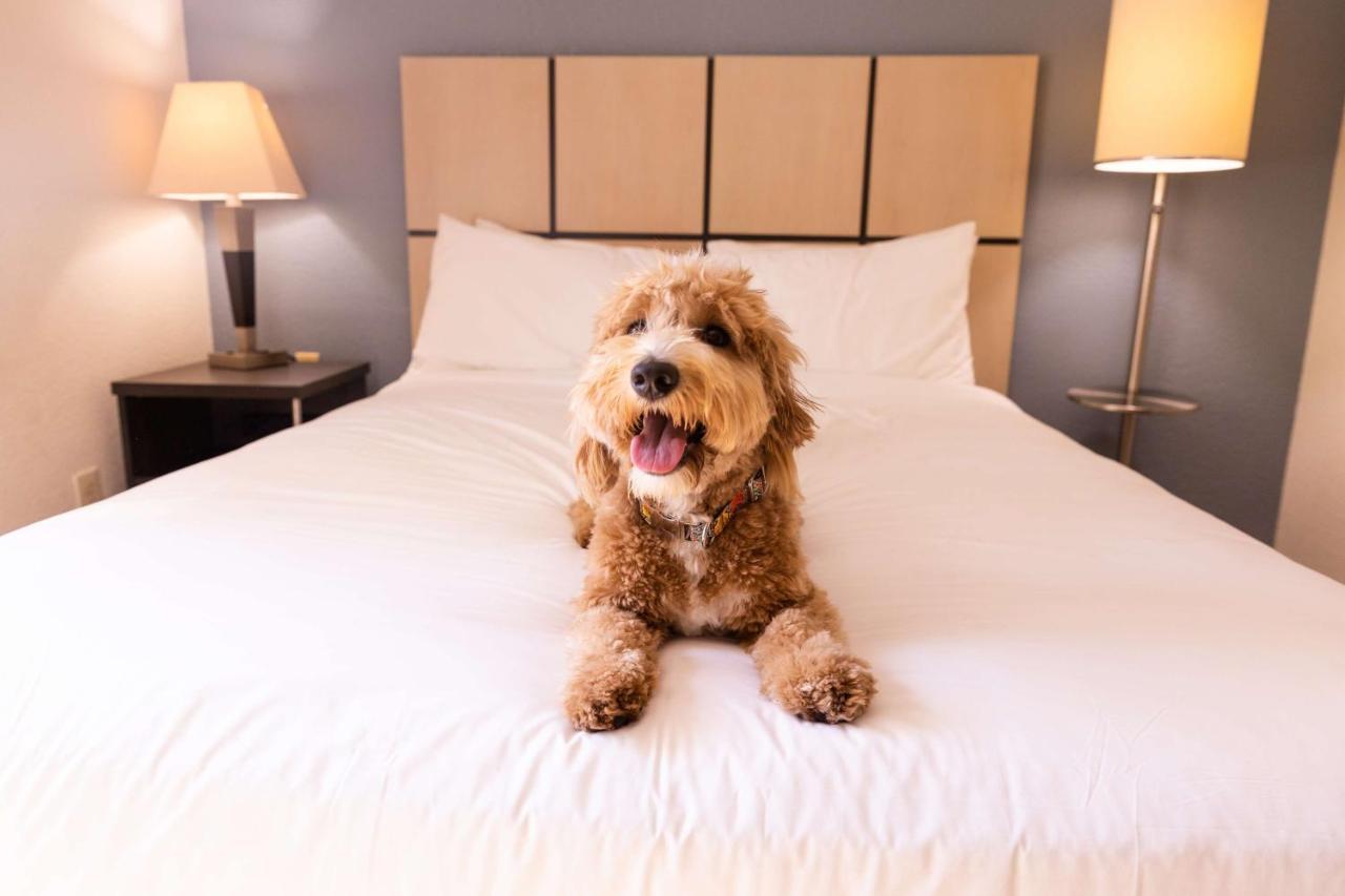 Sonesta Simply Suites Anaheim Garden Grove Luaran gambar